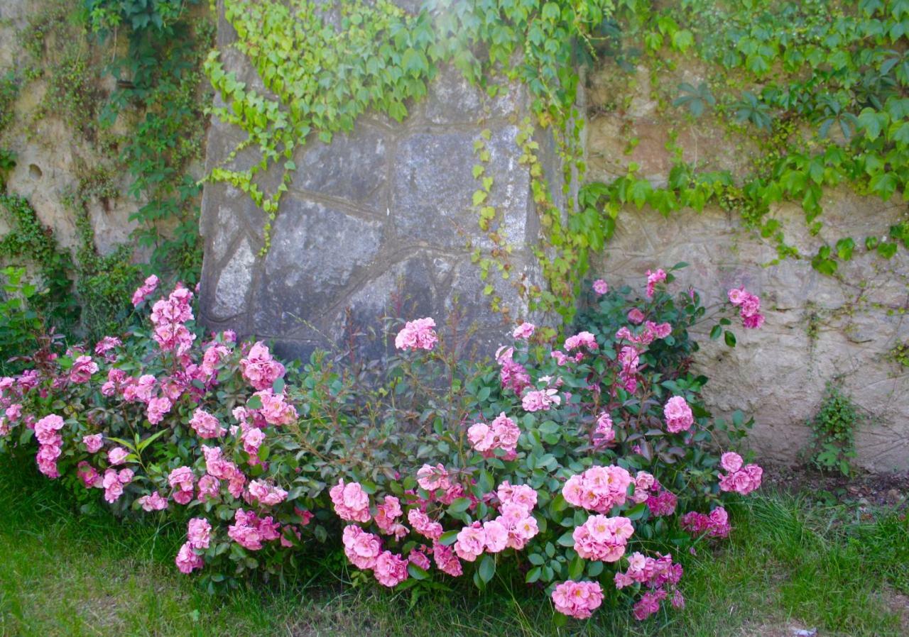 White Lilac Romantic B&B - Adults Only Arona Dış mekan fotoğraf